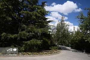 آسمان ابری تهران