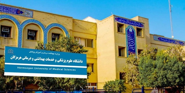 دانشگاه 