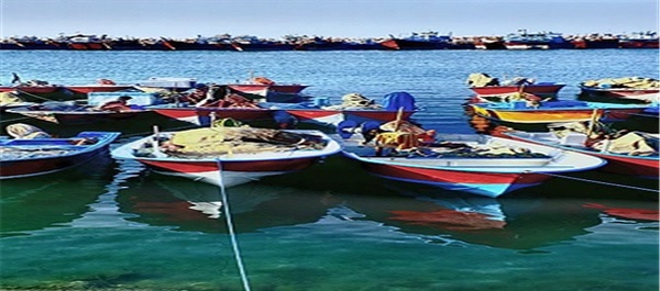 اسکله صیادی بندر کنگان