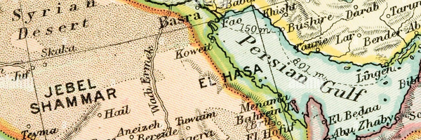 تصویر سربرگ نمایه‌ی ‌محمدامین نمازی‌