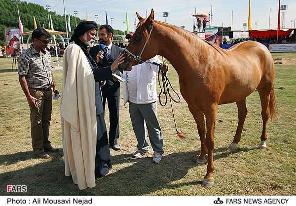 نوزدهمین جشنواره ملی زیبائی اسب اصیل عرب در اهواز