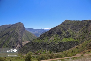 طبیعت «کول میشان»