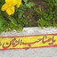 تصویر نمایه‌ی ‌یاس شکوری‌