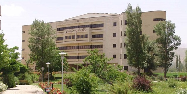دانشگاه