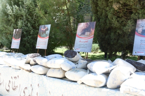 موادمخدر