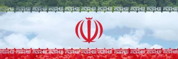 تصویر سربرگ نمایه‌ی ‌امیر محمد رادمنش‌