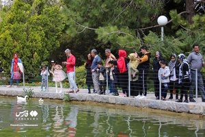 باغ گلها در فصل بهار