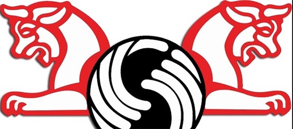 صندوق نیکوکاری پرسپولیس