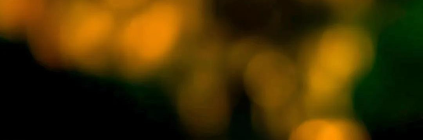 تصویر سربرگ نمایه‌ی ‌رضا رئیسی‌