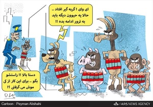 پلیس استان صلاح الدین عراق، یک گربۀ را که تروریست ها دور کمر و شکم آن بمب نصب کرده بودند، گرفته و بمب را خنثی کرد.