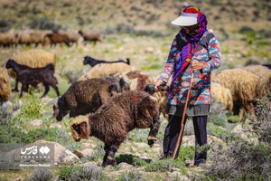 کوچ بهاره «عشایر فارس»
