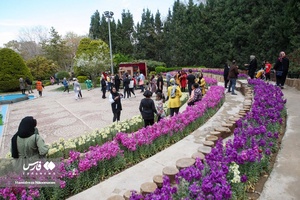 باغ گلها در فصل بهار