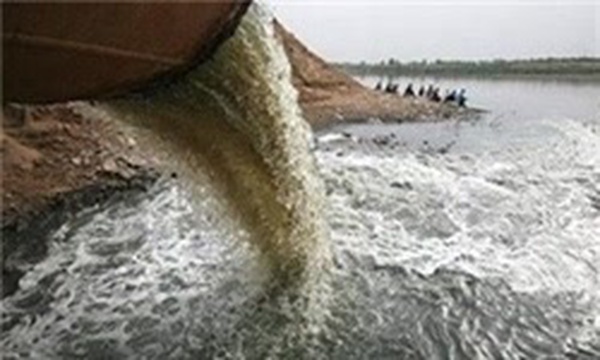 شناگاه