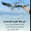 تصویر نمایه‌ی ‌9**1567‌