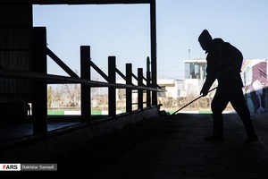 جمع آوری سریع مدفوع و ادرار از سطح بهاربند