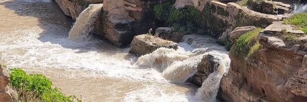 تصویر سربرگ نمایه‌ی ‌محمد حسین موذنی‌