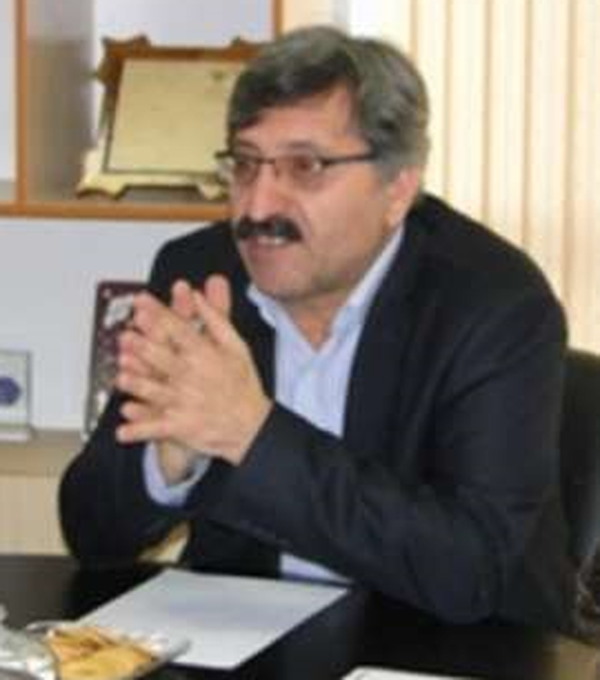 محسن علوی