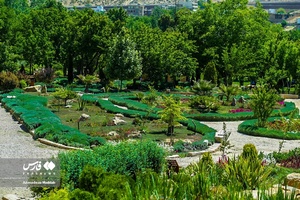 اردیبهشت در باغ گل های شیراز