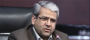 سید کامل تقوی نژاد، مدیرعامل بانک سپه