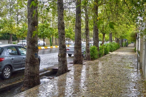 هواشناسی