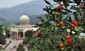 بقعه امامزاده هاشم