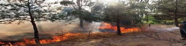 آتش سوزی 