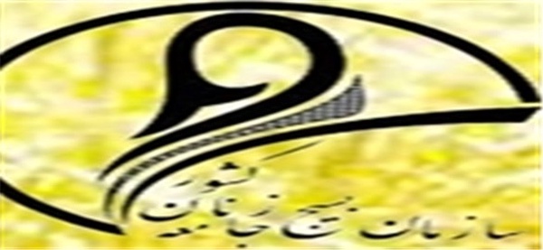 بسیج جامعه زنان