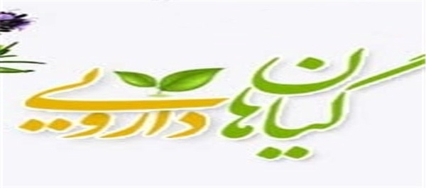 گیاهان دارویی