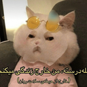 تصویر نمایه‌ی ‌بدبخت دنبال اینترنت‌