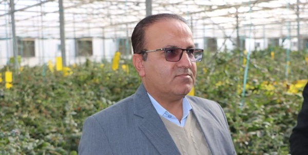معتمدی
