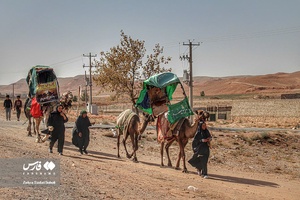 زائران پیاده امام رضا (ع) 