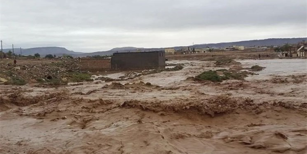 سیل
