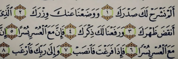 تصویر سربرگ نمایه‌ی ‌مریم امیری‌