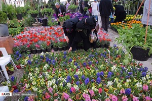 گل‌های بهاری مهمان‌خانه اصفهانی‌ها