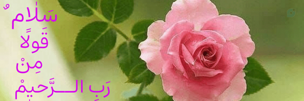 تصویر سربرگ نمایه‌ی ‌سید محسن نصرالهی‌