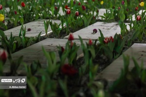 گل آرایی قطعه شهدا گمنام گلستان شهدا اصفهان بمناسبت سال نو و عید نوروز