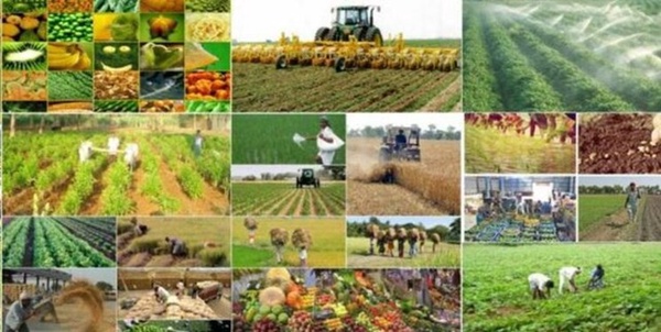 کشاورزی فارس