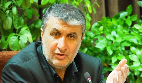 محمد اسلامی 