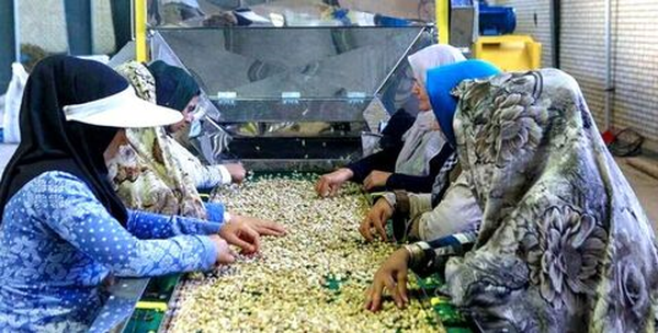 طارم اشتغال روستایی