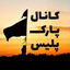تصویر نمایه‌ی ‌پارک پلیس‌