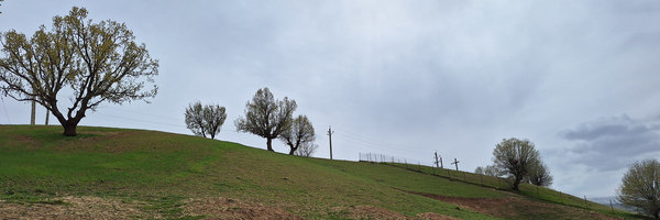 تصویر سربرگ نمایه‌ی ‌خوزستان‌
