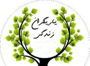 راه‌اندازی حدود ۴ هزار کانون یاریگران زندگی در مدارس