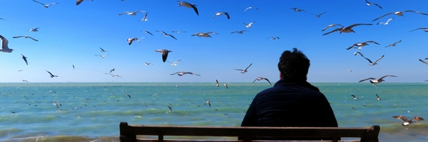 تصویر سربرگ نمایه‌ی ‌سید احمد موسوی‌