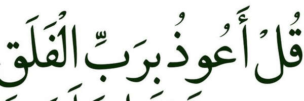 تصویر سربرگ نمایه‌ی ‌صغری گرجی چالسباری‌