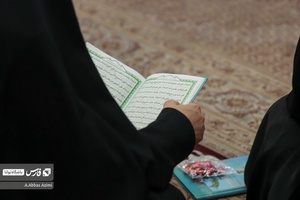 زیارت حرم مطهر عبدالعظیم حسنی (ع) در شام ولادت امام زمان (عج)