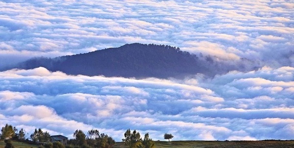 هواشناسی