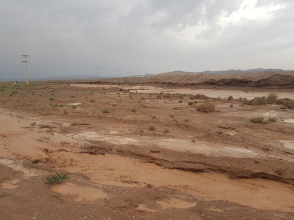 سیل