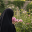 تصویر نمایه‌ی ‌Farnaz Hashemi‌