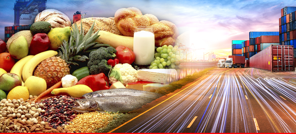 صادرات مواد غذایی