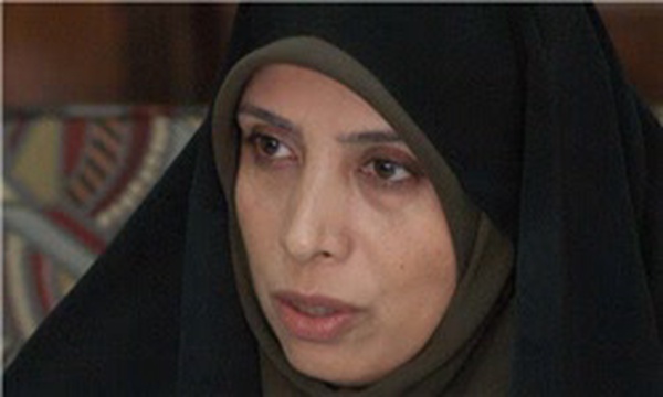 الهام امین زاده استاد حقوق بین الملل